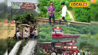 ये काम आप भी कर सकते हैं... छोटे गांव के युवक ने बदल दी 'मेवाड़ के कश्मीर' की किस्मत!