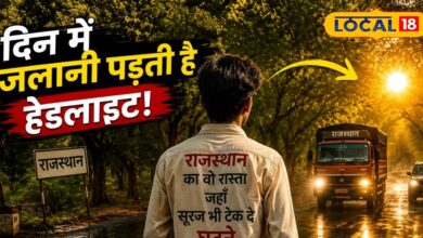 राजस्थान की इस खतरनाक लेकिन खूबसूरत सड़क पर दिन में भी क्यों जलानी पड़ती है लाइट? वजह जानकर रह जाएंगे हैरान