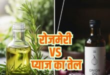 रोजमेरी vs प्याज तेल: बालों की ग्रोथ और मजबूती के लिए कौन सा ज्यादा फायदेमंद, चुनाव कैसे करें
