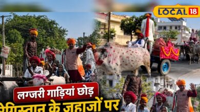लाखों की गाड़ियों को छोड़ा पीछे… सोजत रोड से सहवाज तक ऊंटों पर निकली शाही बारात, देखकर दंग रह गए लोग!