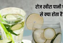 वजन घटाने से लेकर ग्लोइंग स्किन तक, गर्मियों का हेल्दी ड्रिंक, जानें खीरा पानी पीने के फायदे
