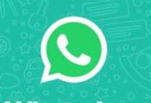 ask search icon