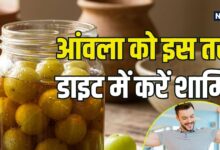 शहद में भीगा आंवला: लंबी उम्र और फौलादी इम्यूनिटी पाने का रामबाण नुस्खा, जानें 5 बेमिसाल फायदे और बनाने का तरीका