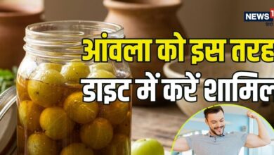 शहद में भीगा आंवला: लंबी उम्र और फौलादी इम्यूनिटी पाने का रामबाण नुस्खा, जानें 5 बेमिसाल फायदे और बनाने का तरीका