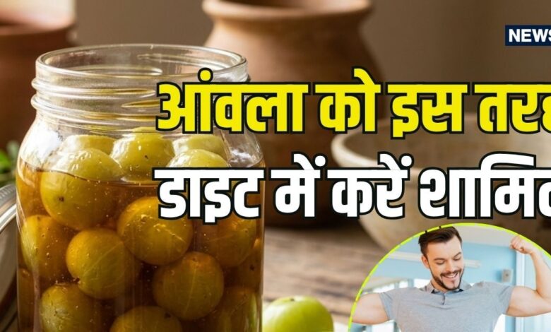 शहद में भीगा आंवला: लंबी उम्र और फौलादी इम्यूनिटी पाने का रामबाण नुस्खा, जानें 5 बेमिसाल फायदे और बनाने का तरीका