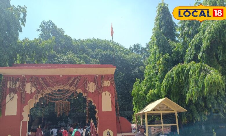 श्री उदयनाथ धाम बना श्रद्धा और पर्यावरण संरक्षण का अनोखा संगम, श्रद्धालुओं की उमड़ी भीड़