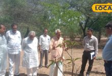 सीकर में कमाल! सिर्फ 1 लीटर पानी से उगेंगे पेड़, स्मृति वन में अपनाई जाएगी पद्मश्री सुंडाराम की अनोखी तकनीक
