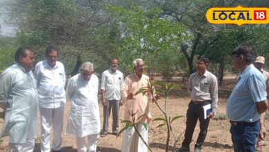 सीकर में कमाल! सिर्फ 1 लीटर पानी से उगेंगे पेड़, स्मृति वन में अपनाई जाएगी पद्मश्री सुंडाराम की अनोखी तकनीक
