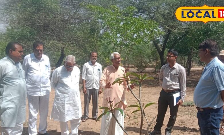 सीकर में कमाल! सिर्फ 1 लीटर पानी से उगेंगे पेड़, स्मृति वन में अपनाई जाएगी पद्मश्री सुंडाराम की अनोखी तकनीक