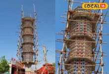 सीकर में पक्षियों के लिए ‘मिनी सिटी’! 3000 से ज्यादा पक्षियों के लिए बन रही अनोखी हाउसिंग सोसायटी