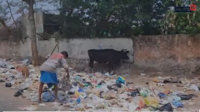 सफाईकर्मियों की हड़ताल से सड़ने लगी पिंकसिटी... सड़कों पर लगा 1500 मीट्रिक टन