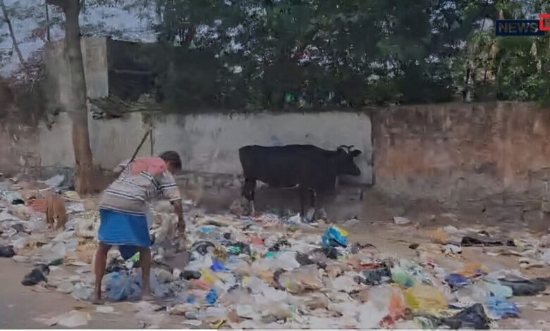 सफाईकर्मियों की हड़ताल से सड़ने लगी पिंकसिटी... सड़कों पर लगा 1500 मीट्रिक टन