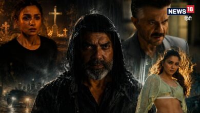 25 करोड़ लेकर छा गईं आलिया भट्ट, शरवरी को मिले सिर्फ इतने, हो गया 'अल्फा' की स्टारकास्ट की फीस का खुलासा