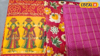 Bikaner Famous Leheriya and Doria Saree Market Price
