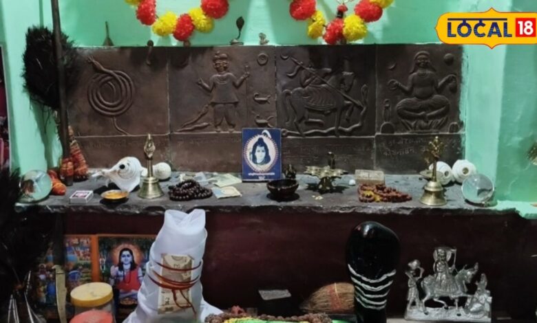 Bikaner Gogaji Temple | अंबासर गोगाजी मंदिर बीकानेर