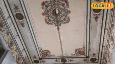 Bikaner News: हजार हवेलियों का शहर बीकानेर, यहां की हवेलियों की छतों और दीवारों में छुपा राजसी सौंदर्य