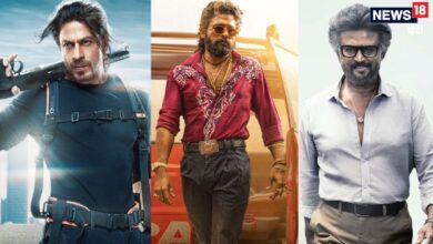 Highest Paid Bollywood Actor: शाहरुख खान-अल्लू अर्जुन और रजनीकांत को छोड़ा पीछे, 1 बॉलीवुड हीरो बना सबसे महंगा एक्टर, लगातार दी 2 ब्लॉकबस्टर