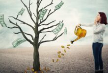 Income Source : आप भी करना चाहते हैं चौतरफा कमाई! इन विकल्‍पों में आजमाएं हाथ, चुंबक की तरह खिंचता आएगा पैसा