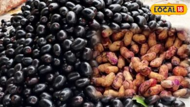 Jamun Seeds Benefits | जामुन की गुठली खाने के फायदे | जामुन की गुठली का पाउडर कब खाना चाहिए