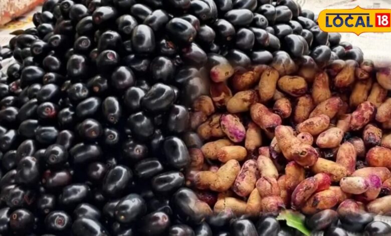 Jamun Seeds Benefits | जामुन की गुठली खाने के फायदे | जामुन की गुठली का पाउडर कब खाना चाहिए
