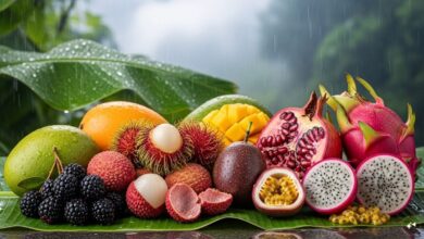 Monsoon Diet: बारिश में खुद को रखना है फिट? आज ही से खाना शुरू कर दें ये 5 फल, बीमारियों से रहेंगे कोसों दूर!