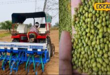 Nagaur Kharif Crop 2026: किस फसल पर रहेगा सबसे ज्यादा फोकस! खरीफ सीजन के लिए तैयार हुआ मास्टर प्लान, जानें किसान भाई