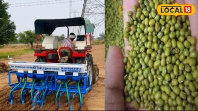 Nagaur Kharif Crop 2026: किस फसल पर रहेगा सबसे ज्यादा फोकस! खरीफ सीजन के लिए तैयार हुआ मास्टर प्लान, जानें किसान भाई
