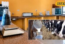 Sikar News | animal feed testing laboratory