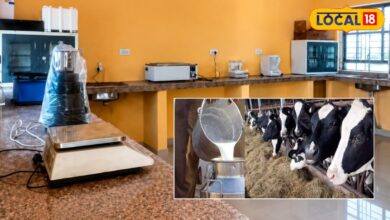 Sikar News | animal feed testing laboratory