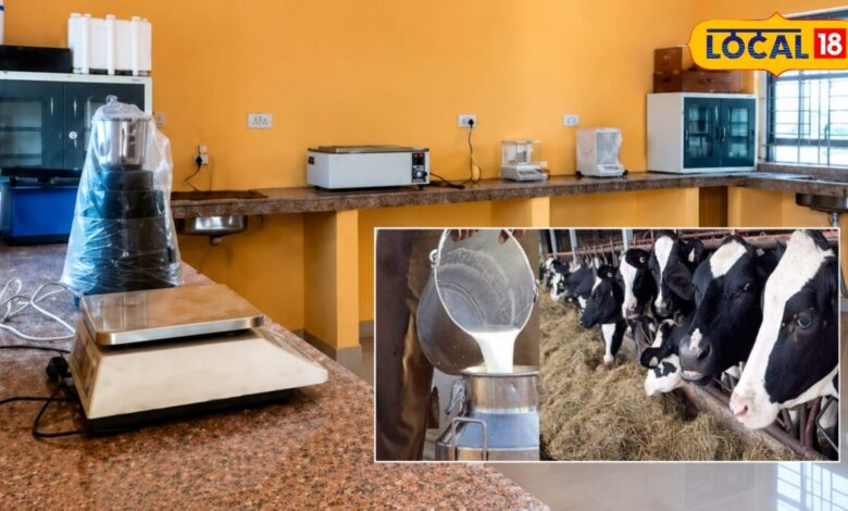 Sikar News | animal feed testing laboratory