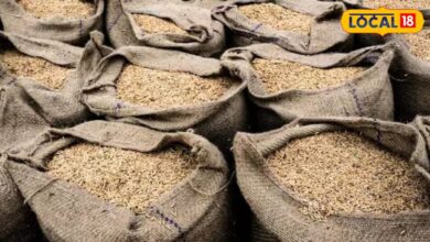 Tips To Storage Jeera I जानिए मानसून में जीरा भंडारण के आसान उपाय I jalore news I rajasthan news