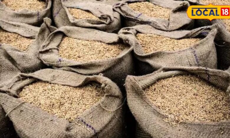 Tips To Storage Jeera I जानिए मानसून में जीरा भंडारण के आसान उपाय I jalore news I rajasthan news