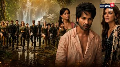 Welcome to the Jungle-Cocktail 2 box office collection: बॉक्स ऑफिस घमासान: 'वेलकम टू द जंगल' ने पास किया मंडे टेस्ट, 'कॉकटेल 2' की धीमी पड़ी रफ्तार