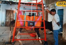 karauli news I rajasthan news I करौली का श्री राम गौ सेवा संस्थान