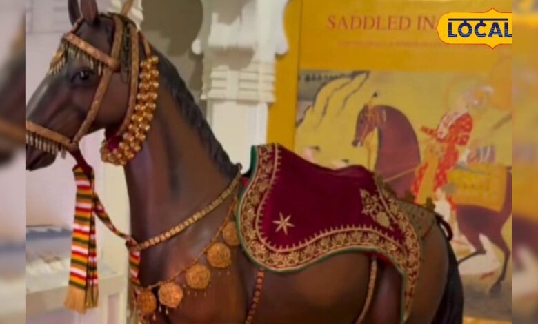 आगे-आगे कोतल घोड़लो' सिर्फ लोकगीत नहीं, इसके पीछे छिपी है राजपूताना की गजब युद्धनीति