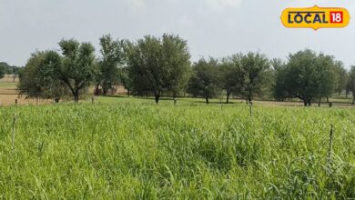 कभी था साधारण गांव, आज है डीडवाना की सबसे VVIP पंचायत, जानें कैसे बदली मंडा बासनी की तकदीर