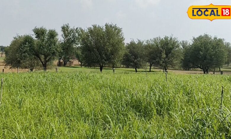 कभी था साधारण गांव, आज है डीडवाना की सबसे VVIP पंचायत, जानें कैसे बदली मंडा बासनी की तकदीर