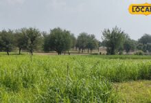खेती से उद्योग तक! जैतपुरा बना उद्योग का पावरहाउस, 250 से अधिक फैक्ट्री ने बदल दी गांव की तस्वीर