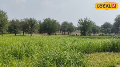 खेती से उद्योग तक! जैतपुरा बना उद्योग का पावरहाउस, 250 से अधिक फैक्ट्री ने बदल दी गांव की तस्वीर