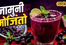 गर्मी में पीना है कुछ हटके? जामुन मोजितो का स्वाद बना रहा लोगों को दीवाना, ऐसे करें घर पर तैयार