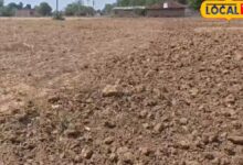 चित्रकूट में कम बारिश से खरीफ फसल संकट में, श्रीअन्न और दलहन की करें बुवाई, जिलाधिकारी ने किसानों को दी सलाह