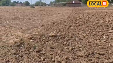 चित्रकूट में कम बारिश से खरीफ फसल संकट में, श्रीअन्न और दलहन की करें बुवाई, जिलाधिकारी ने किसानों को दी सलाह