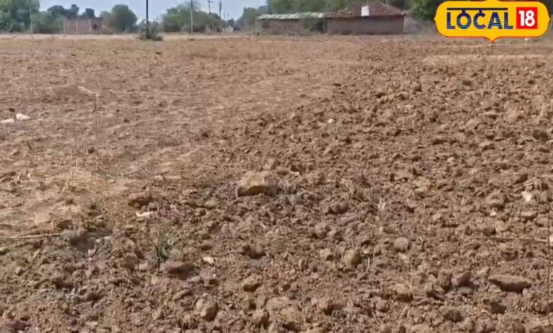 चित्रकूट में कम बारिश से खरीफ फसल संकट में, श्रीअन्न और दलहन की करें बुवाई, जिलाधिकारी ने किसानों को दी सलाह
