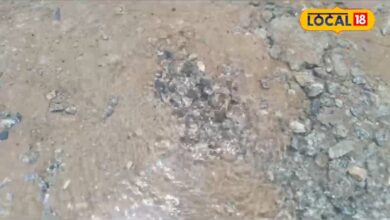 धौलपुर में पेयजल संकट गहराया, पाइपलाइन लीकेज से हजारों लीटर पानी बर्बाद, लोगों को नहीं मिल रहा साफ पानी