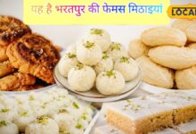भरतपुर की इन देसी मिठाइयों का स्वाद है बेमिसाल I famous sweets bharatpur I rajasthan news