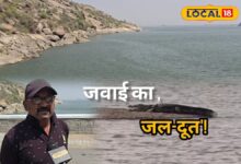 मगरमच्छों के बीच मौत से मुकाबला, 35 साल से लोगों की जिंदगी बचा रहे हैं हरिभाई