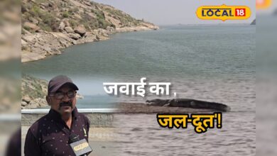 मगरमच्छों के बीच मौत से मुकाबला, 35 साल से लोगों की जिंदगी बचा रहे हैं हरिभाई
