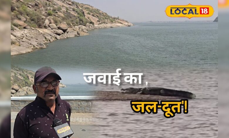मगरमच्छों के बीच मौत से मुकाबला, 35 साल से लोगों की जिंदगी बचा रहे हैं हरिभाई