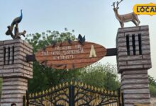 राजस्थान की वो जगह जहां पेड़ों के लिए दी गई थीं 363 कुर्बानियां, अब बदल रही तस्वीर, आकार ले रहा इको पार्क