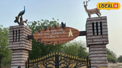 राजस्थान की वो जगह जहां पेड़ों के लिए दी गई थीं 363 कुर्बानियां, अब बदल रही तस्वीर, आकार ले रहा इको पार्क